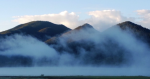 Forested mountains with mist in front